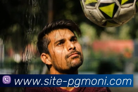 pg模拟器app下载APP 封面图